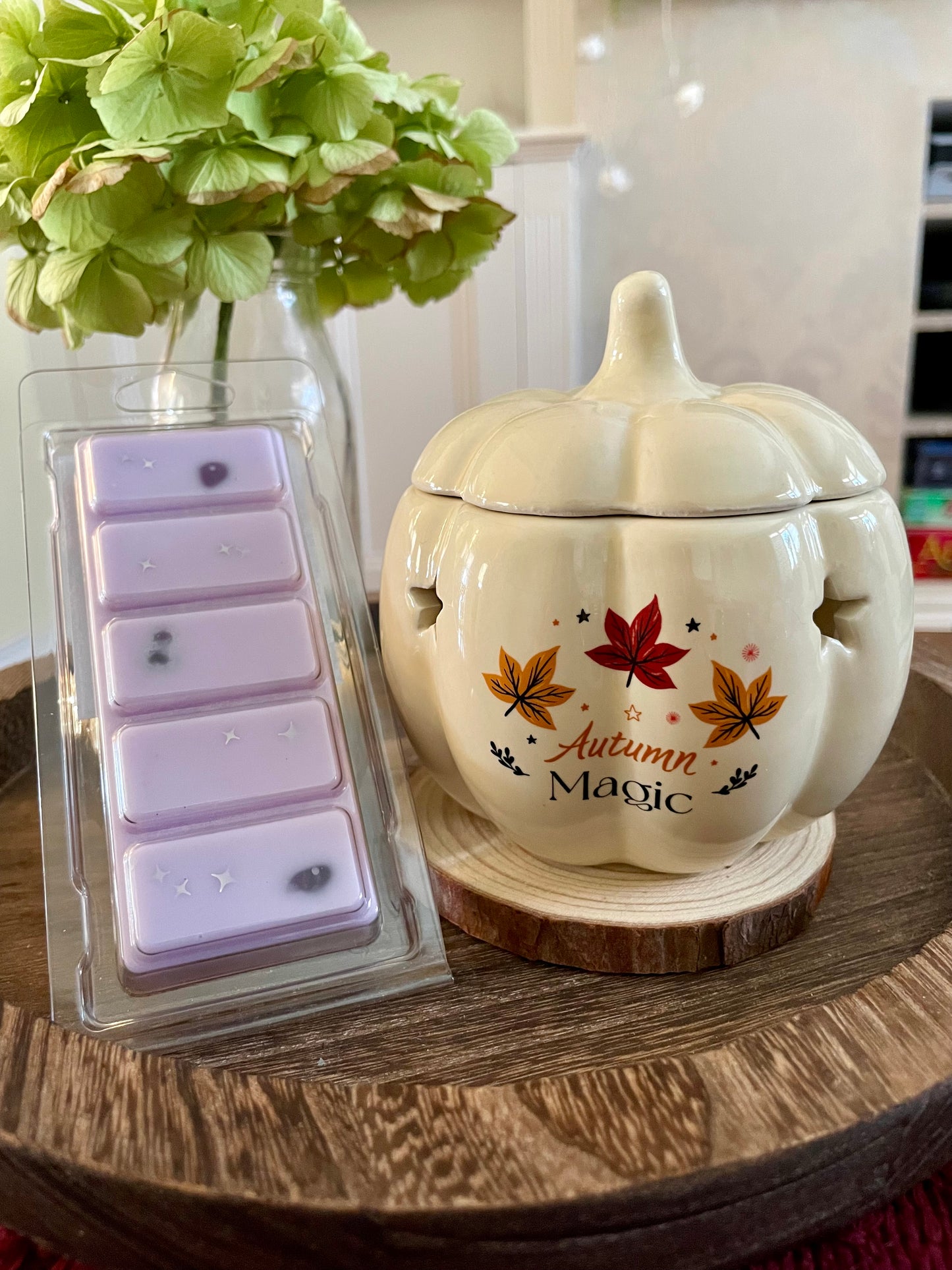 Wax Melts Snap Bar - Infused with Amethyst Crystal Chips - ‘Moon Potion’