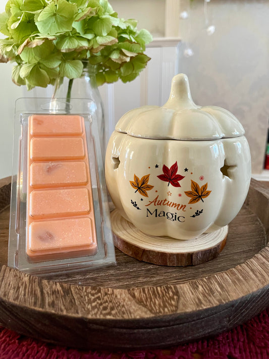 Wax Melts Snap Bar - Infused with Clear Quartz Crystal Chips - ‘Pumpkin Spice & All Things Nice’