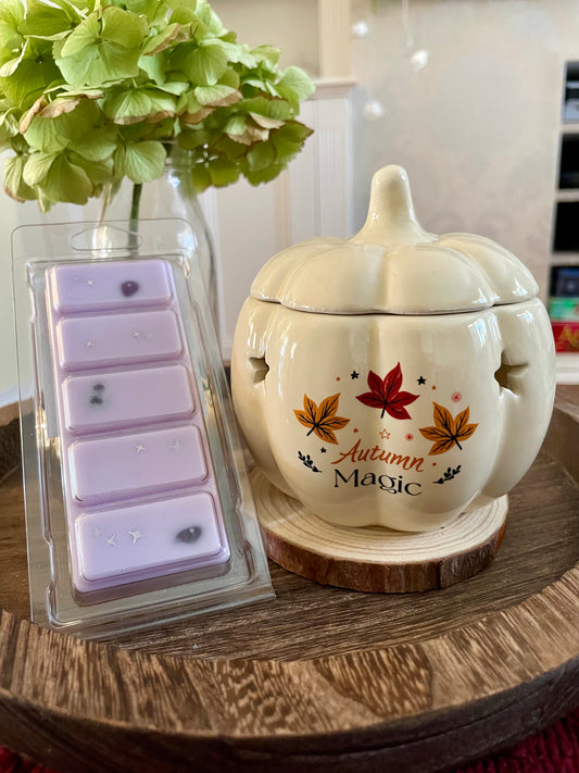 Wax Melts Snap Bar - Infused with Amethyst Crystal Chips - ‘Moon Potion’