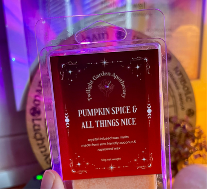 Wax Melts Snap Bar - Infused with Clear Quartz Crystal Chips - ‘Pumpkin Spice & All Things Nice’